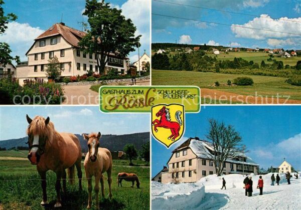 Faulenfuerst Gasthaus zum Rössle Pferde Landschaftsp