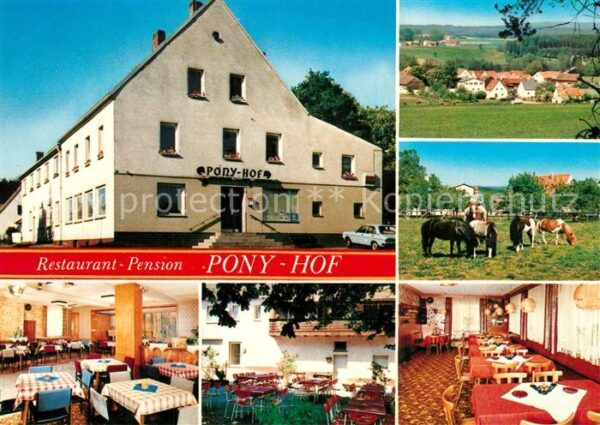 Zintlhammer Hotel Pension Ponyhof Restaurant Weiden