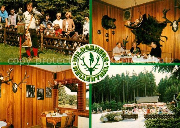 Hellenthal Eifel Wildgehege am Olefsee Restaurant Terras