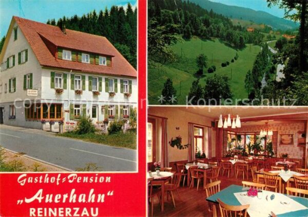 Reinerzau Gasthof Pension Auerhahn Landschaftspan
