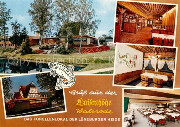 Walsrode Lueneburger Heide Restaurant Luisenhöhe Forellenlokal Tei