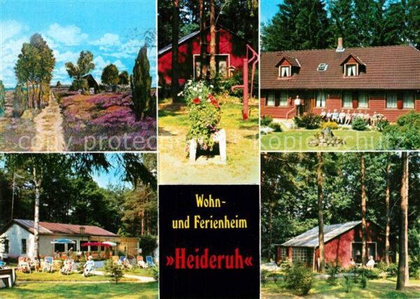 Seppensen Wohn- und Ferienheim Liegewiese Sonnent