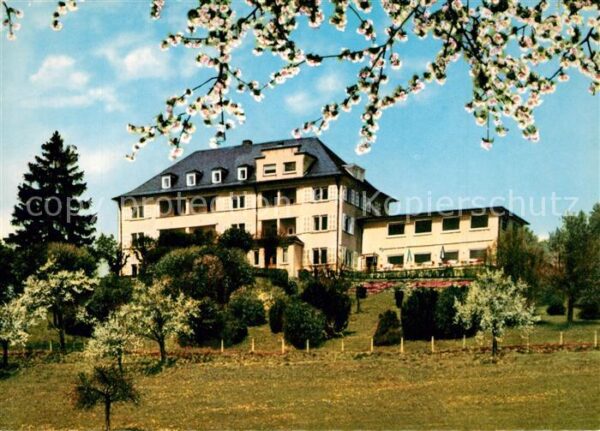 Ueberlingen Bodensee Parkhotel St Leonhard Baumblüte