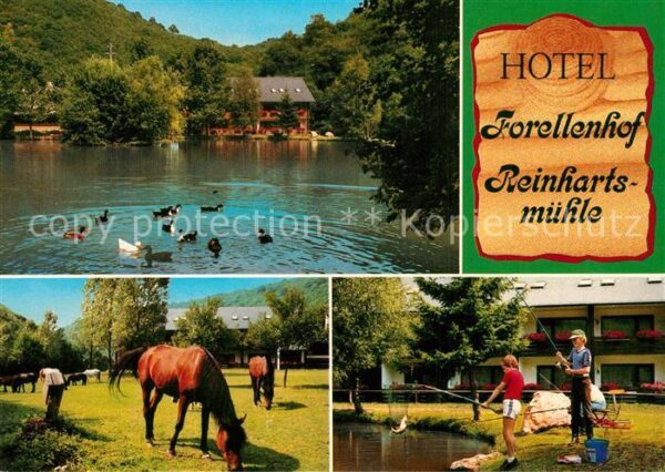 Kirn Nahe Hotel Forellenhof Reinhartsmühle Pferde