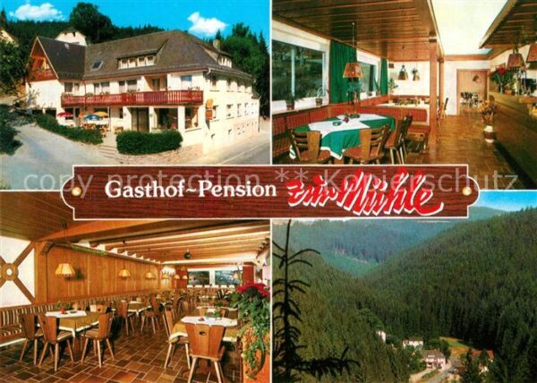 Schwarzenbach Wald Gasthof Pension Zur Mühle Landschaftspa