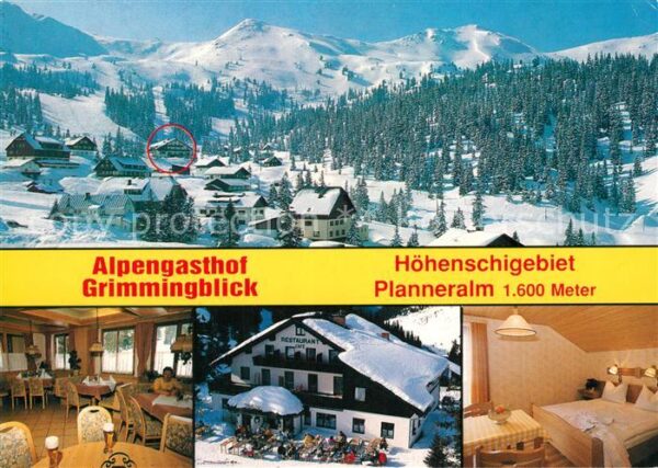 Planneralm Panorama Alpengasthof Grimmingblick Gas