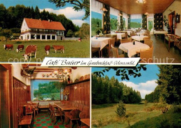 Hammelbach Cafe Bauer im Gassbachtal Gasträume