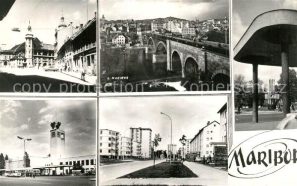 Maribor Marburg Drau Stadtburg Drau Brücke Siedlung Hochhäus