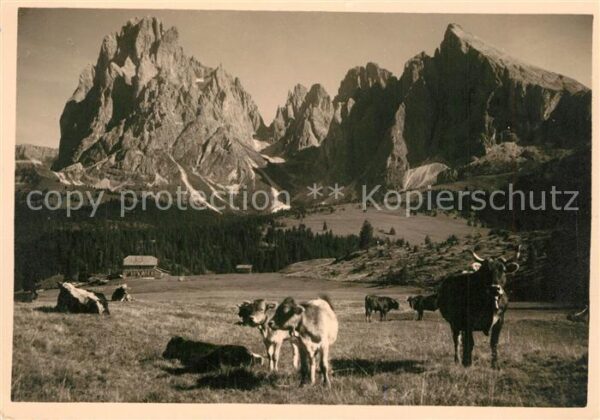 Dolomiti mit Langkofel und Plattkofel