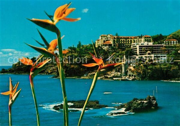Madeira Portugal Hotel Reid_s