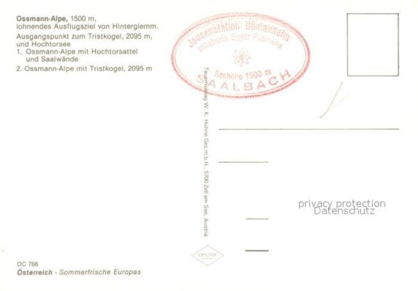 Hinterglemm Saalbach Ossmann Alpe Ausflugsziel Alpen – Bild 2