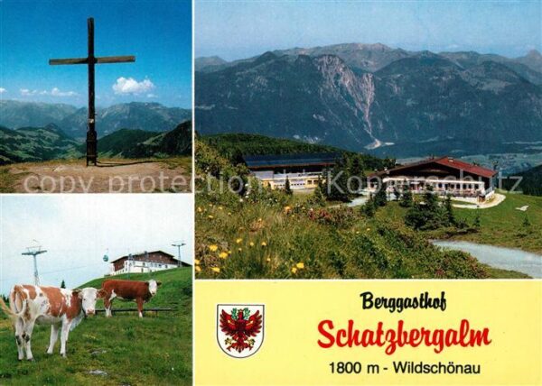 Thierbach Wildschoenau Berggasthof Schatzbergalm Almvieh Kühe