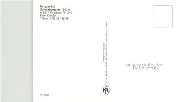 Thierbach Wildschoenau Berggasthof Schatzbergalm Almvieh Kühe – Bild 2
