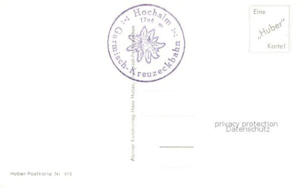 Foto Huber H. Nr. 612 Hochalm Alpspitze Kühe – Bild 2