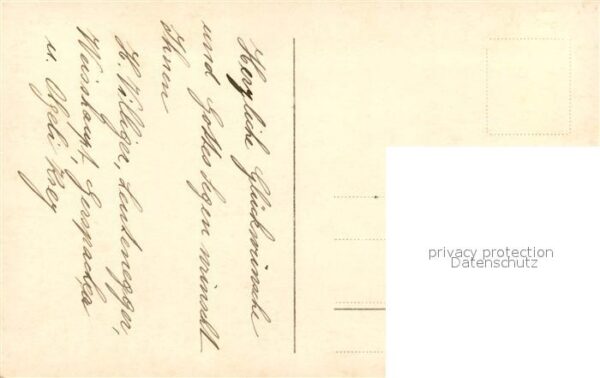 Foto Amag Nr. 63642/6 Frau Rosen – Bild 2