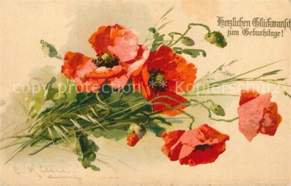 Klein Catharina Kuenstlerlitho Geburtstag Mohnblumen