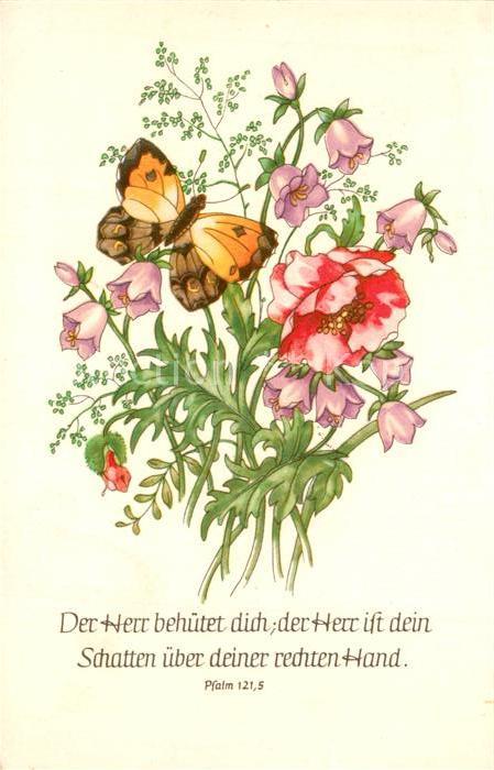 Schmetterlinge Blumen