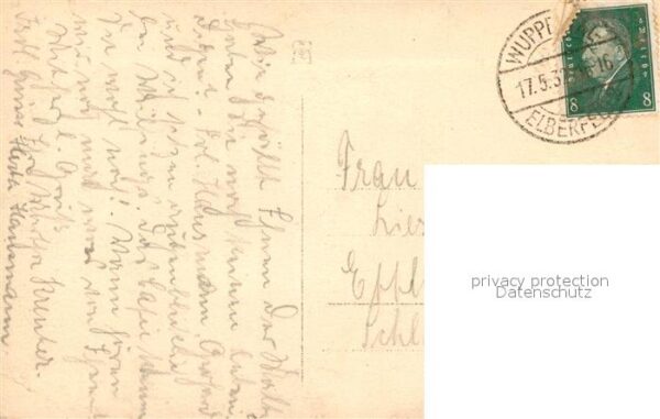 Hunde – Bild 2