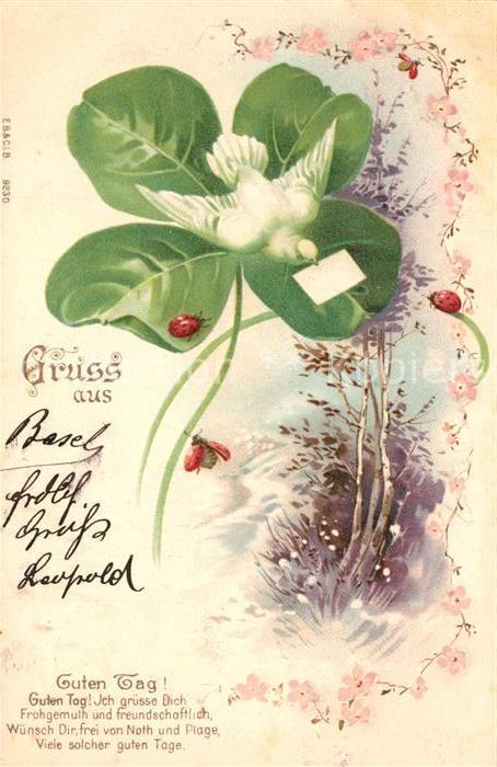 Brieftaube Carrier Pigeon voyageur Kleeblatt Marienkäfer Litho Gedicht