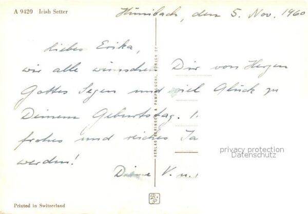 Hunde Irish Setter – Bild 2