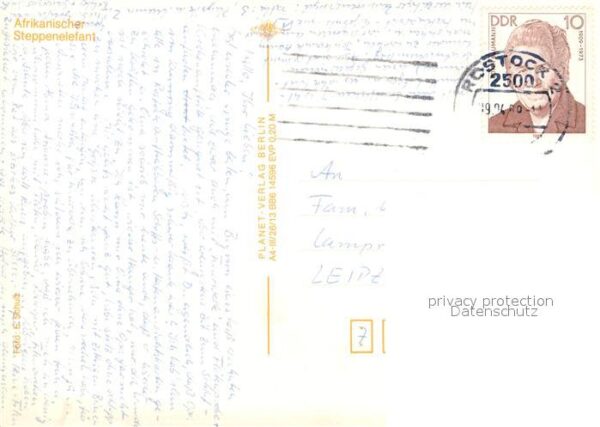 Elefant Afrikanischer Steppenelefant – Bild 2