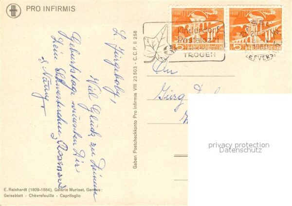 Blumen Geissblatt Künstlerkarte E. Reinhardt P – Bild 2