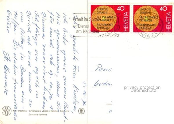 Voegel Birkenzeisig A. M. Trechslin – Bild 2