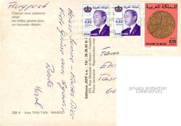 Kamel  Camel Chameau Tan-Tan Maroc – Bild 2