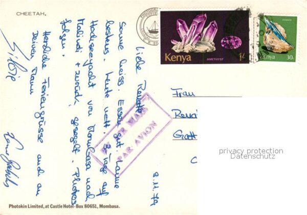 Tiere Cheetah – Bild 2