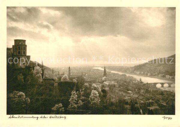 Foto Popp Nr. Heidelberg