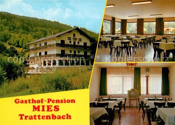 Trattenbach Gasthof Pension Mies Speisesaal Gaststu