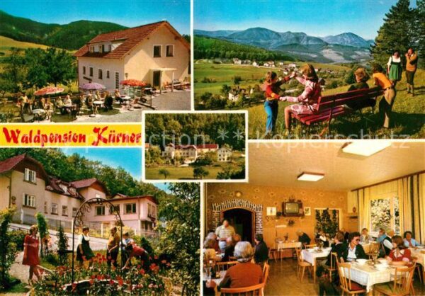 Prigglitz Waldpension Kürner Panorama Garten Gast