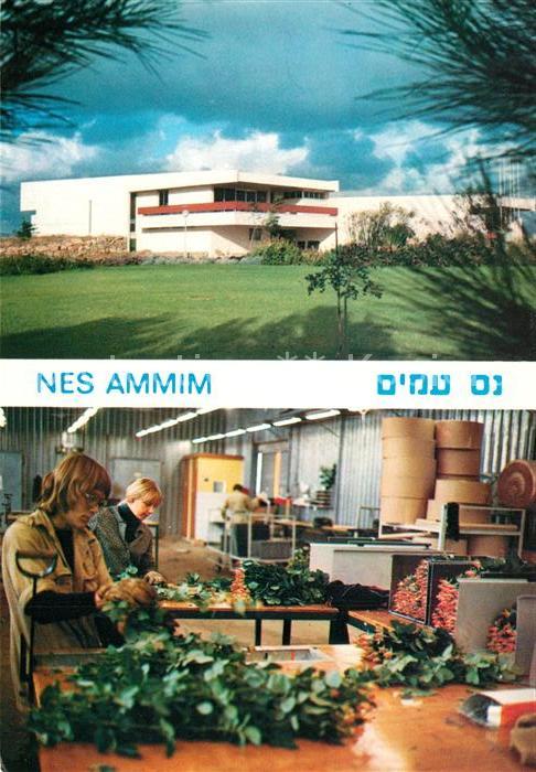 Nes Ammim Hotel Speisesaal