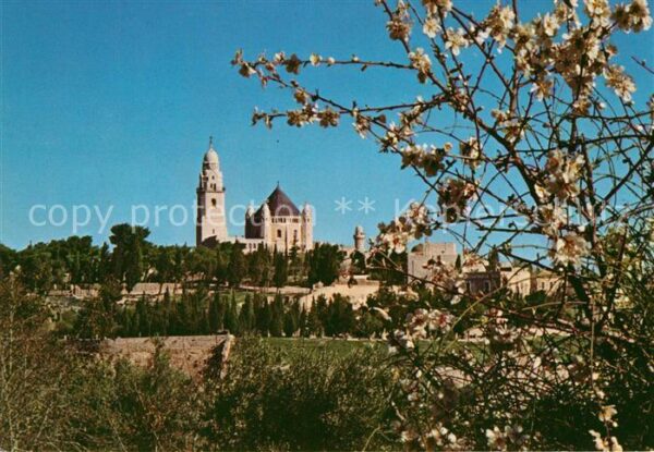 Jerusalem Yerushalayim Zions Berg Baumblüte