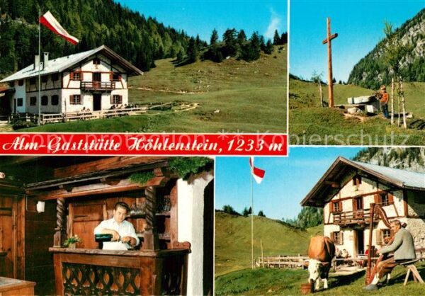 Woergl Tirol Alm Gaststätte Höhlenstein Almvieh Kuh