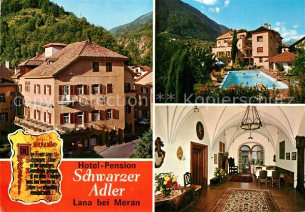 Lana Meran Hotel Pension Schwarzer Adler Swimming