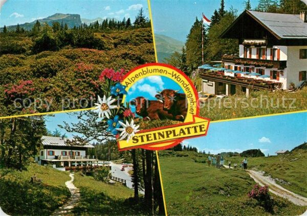Waidring Tirol Alpengasthof Steinplatte Restaurant Caf