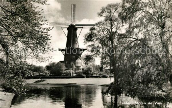 Leiden Molen de Valk