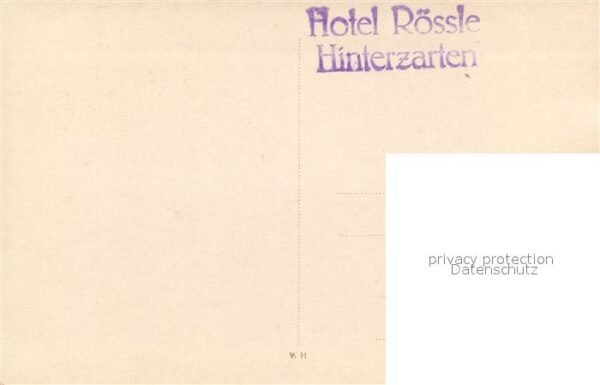Hinterzarten Hotel Rössle – Bild 2