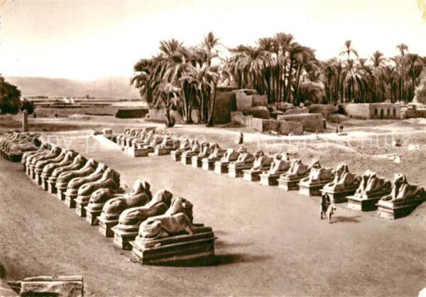 Karnak Egypt The Avenue of Sphinxes