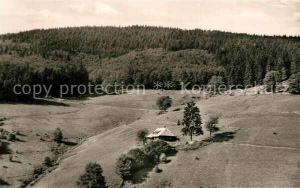Wieden Schwarzwald Schwarzwaldhaus