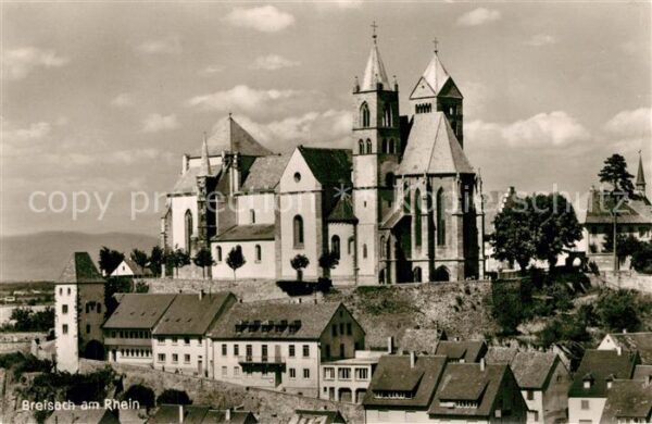 Breisach Rhein Münster