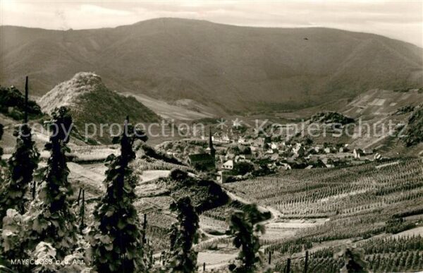 Mayschoss Panorama