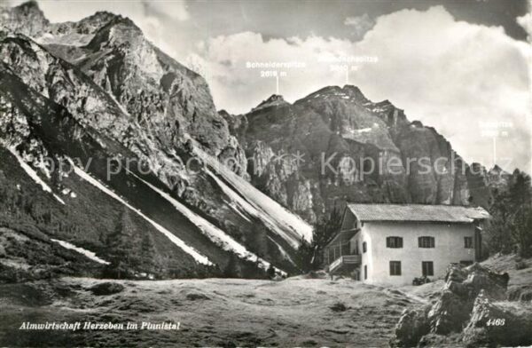 Herzebenalm im Pinnistal