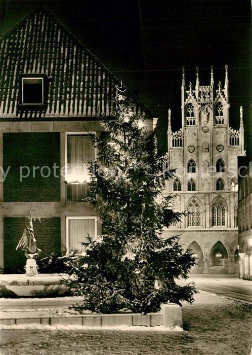 Muenster Westfalen Michaelisbrunnen Rathaus zur Weihnachts