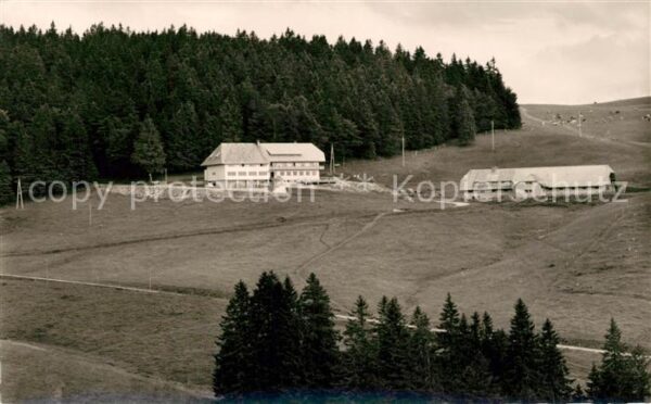 Utzenfeld Schwarzwald Berggasthof Pension Gisiboden Feldbergg