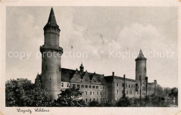 Liegnitz Legnica Schloss Bromsilber Imitation