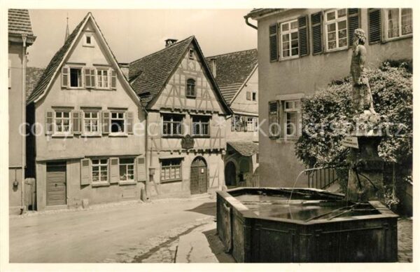 Marbach Neckar Schillers Geburtshaus Wilder Mann Brunn