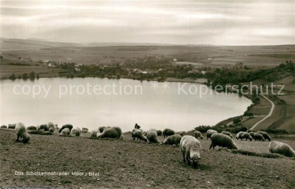 Schalkenmehren Schalkenmehrener Moor Landschaftspanora