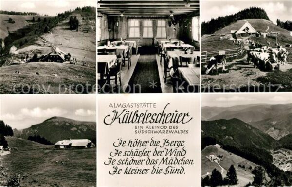 Kaelbelescheuer Bergwirtschaft Almgaststätte Schwarzwal